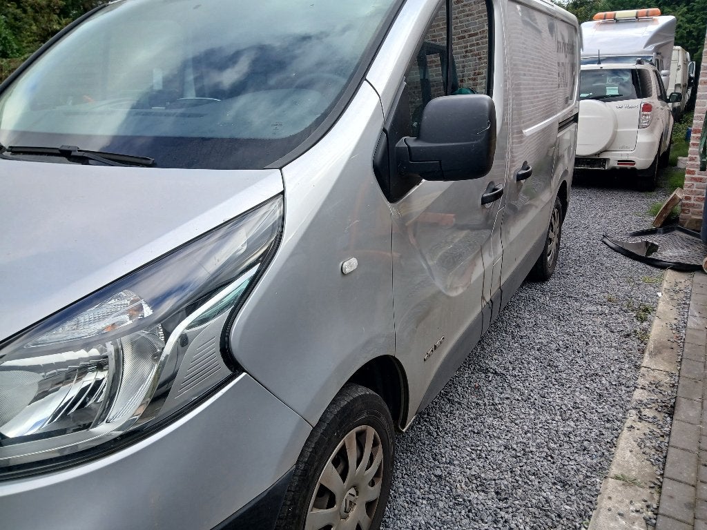 Renault Trafic, Auto's, Euro 6, Renault, Bedrijf, Diesel