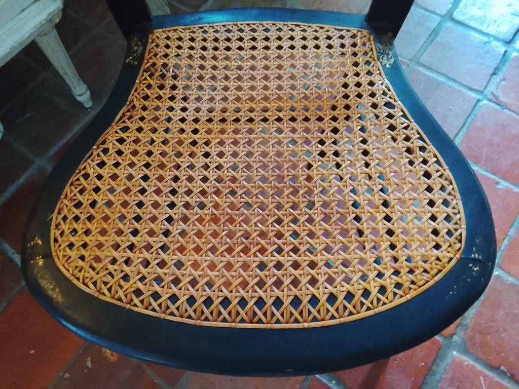 Paire de chaises de style et d'époque Napoléon III très rate