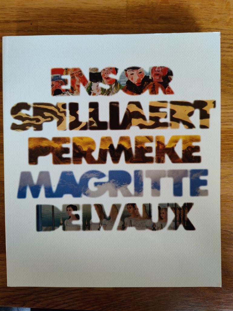 Van Ensor tot Delvaux, Willy Van den Bussche en anderen, Ophalen of Verzenden, Zo goed als nieuw, Schilder- en Tekenkunst