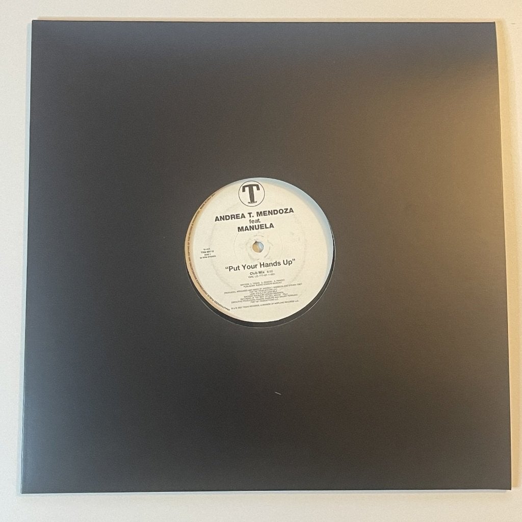 Andrea T. Mendoza feat. Manuela - Put Your Hands Up, Ophalen of Verzenden, Zo goed als nieuw, 12 inch, House
