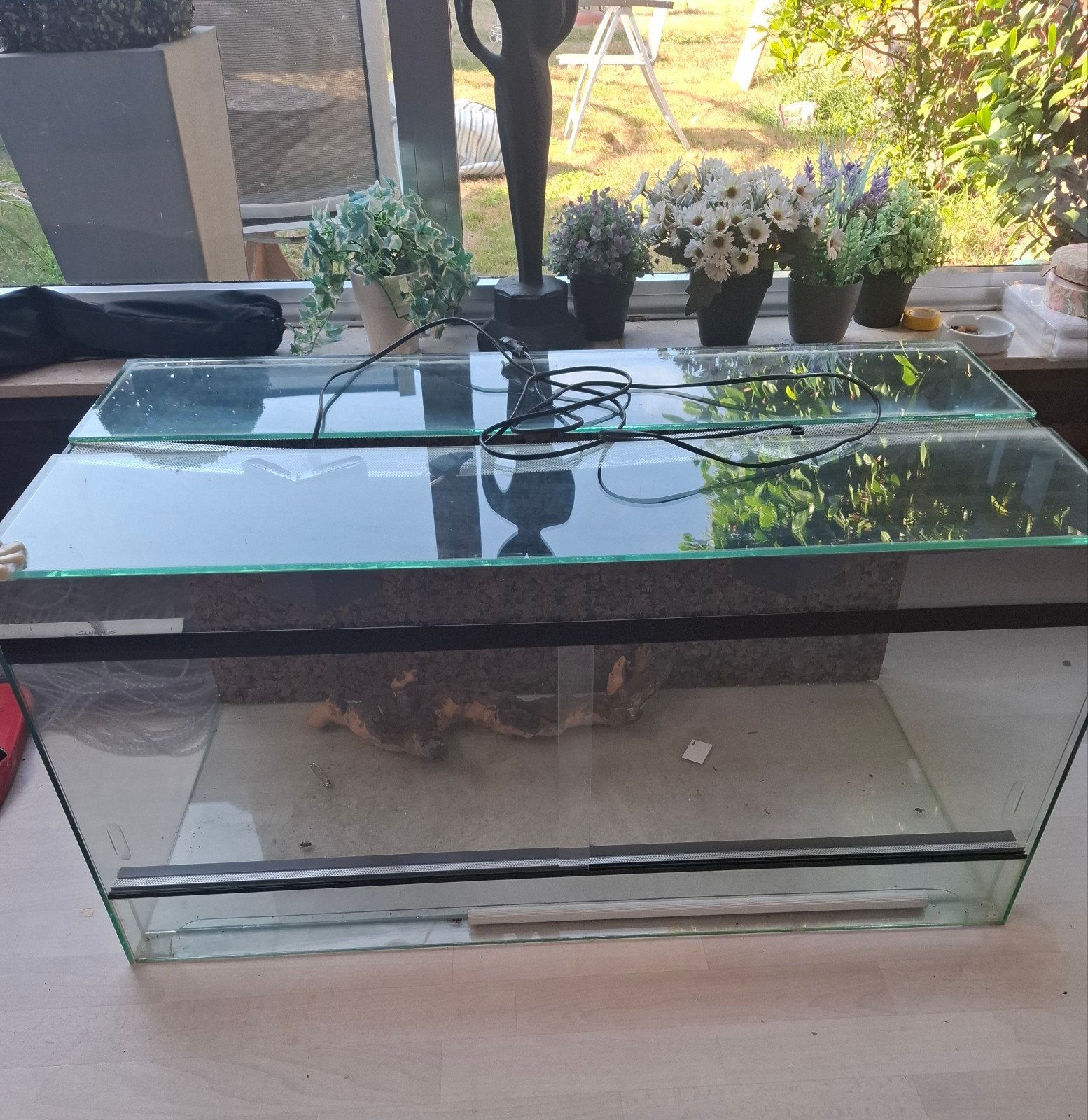 Terrarium te koop
Mooi glazen terrarium in goede staat.
Afme, Dieren en Toebehoren, Ophalen
