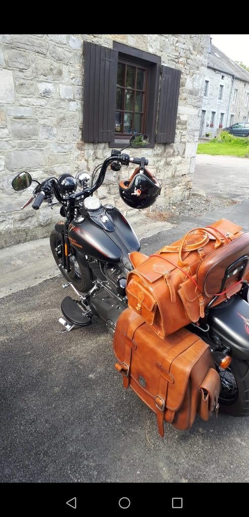 Harley Davidson Cross Bones, Motoren, Nieuw, Chopper, Particulier, 1640 cc