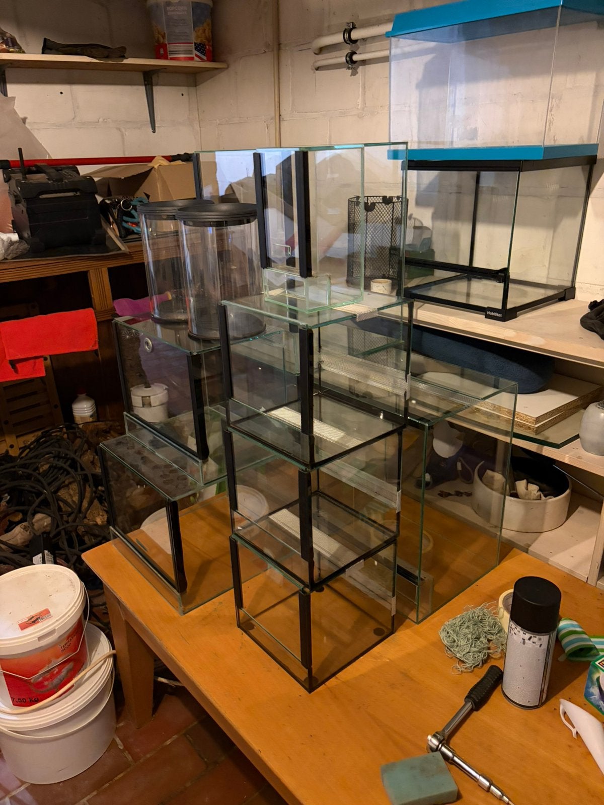 Terrariums, Dieren en Toebehoren, Ophalen, Gebruikt, Terrarium of Paludarium
