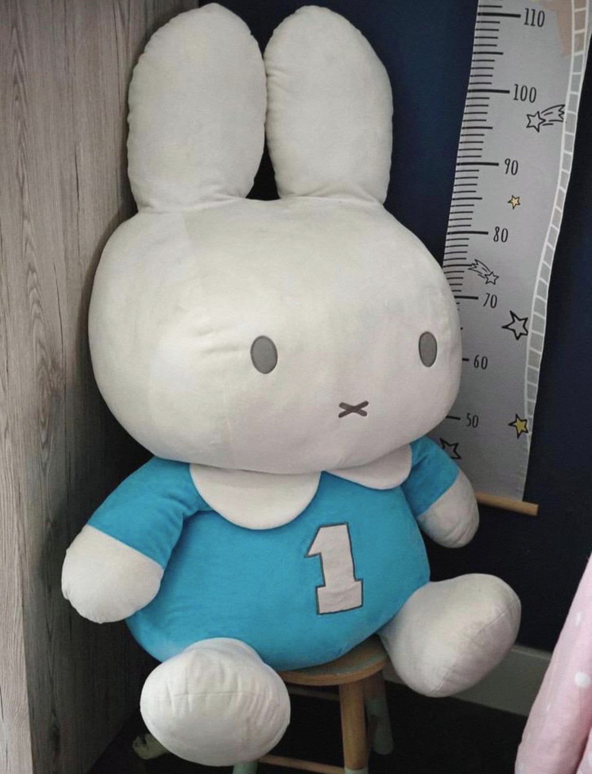 XXL Nijntje knuffel, Ophalen