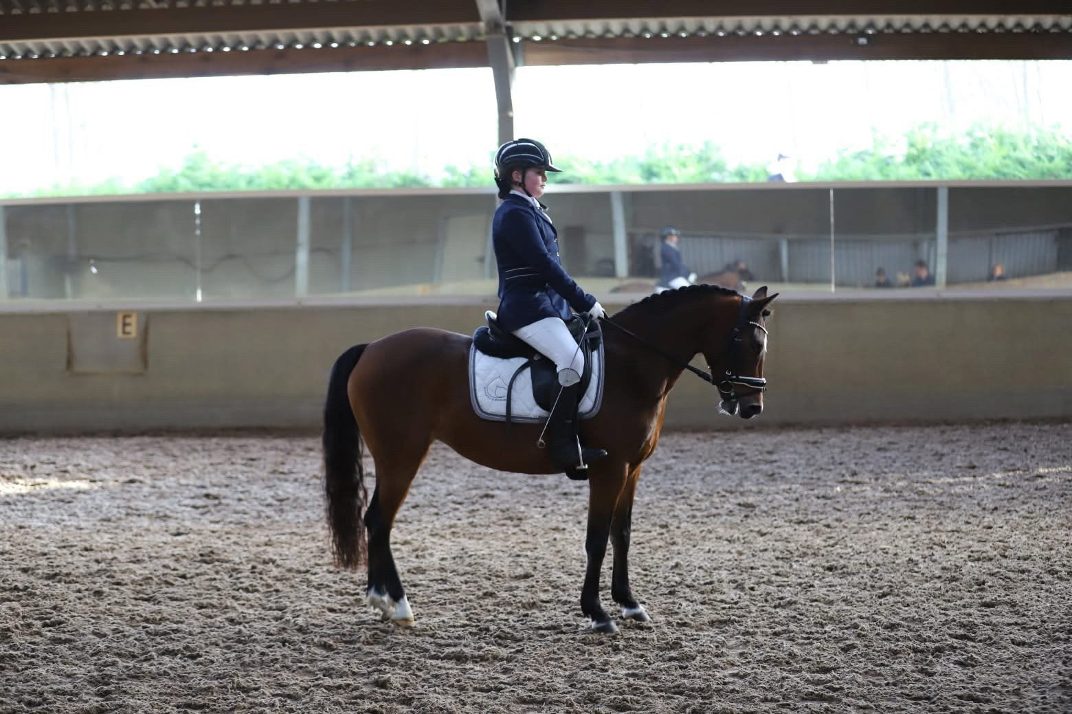 Brave C pony te koop, Dieren en Toebehoren, Merrie, C pony (1.27m tot 1.37m), 11 jaar of ouder, Recreatiepony