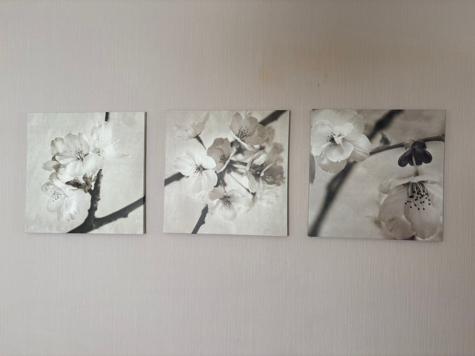 Canvas 3-luik Ikea, Enlèvement