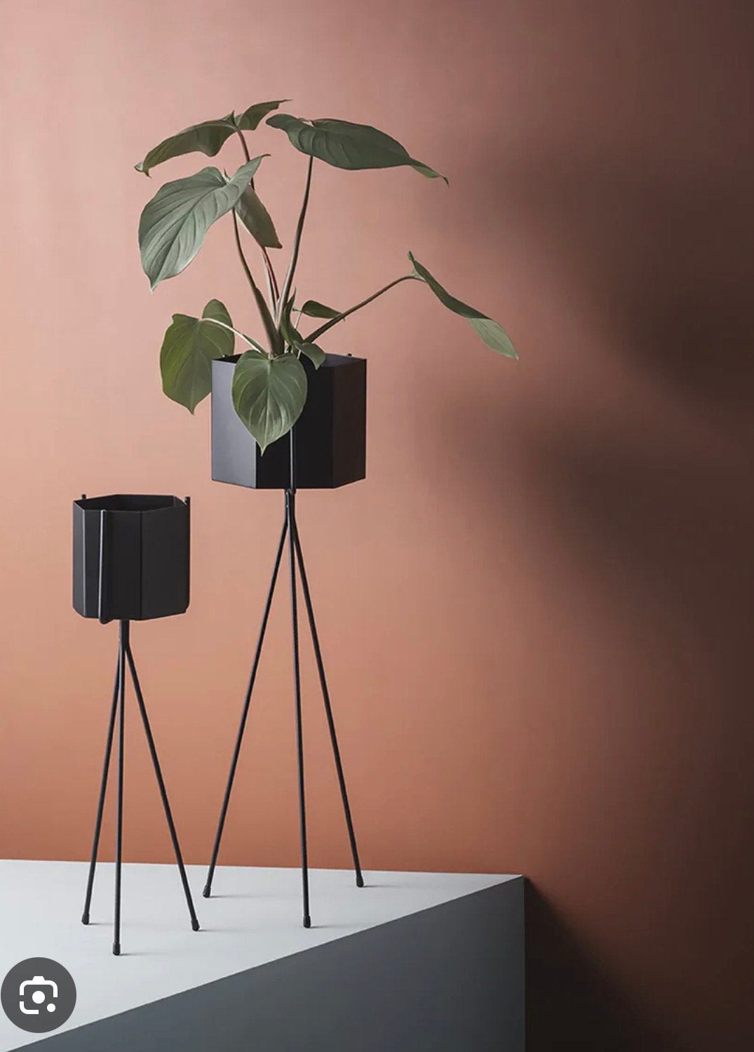 Ferm living plant stand low-high, Huis en Inrichting, Ophalen, Gebruikt