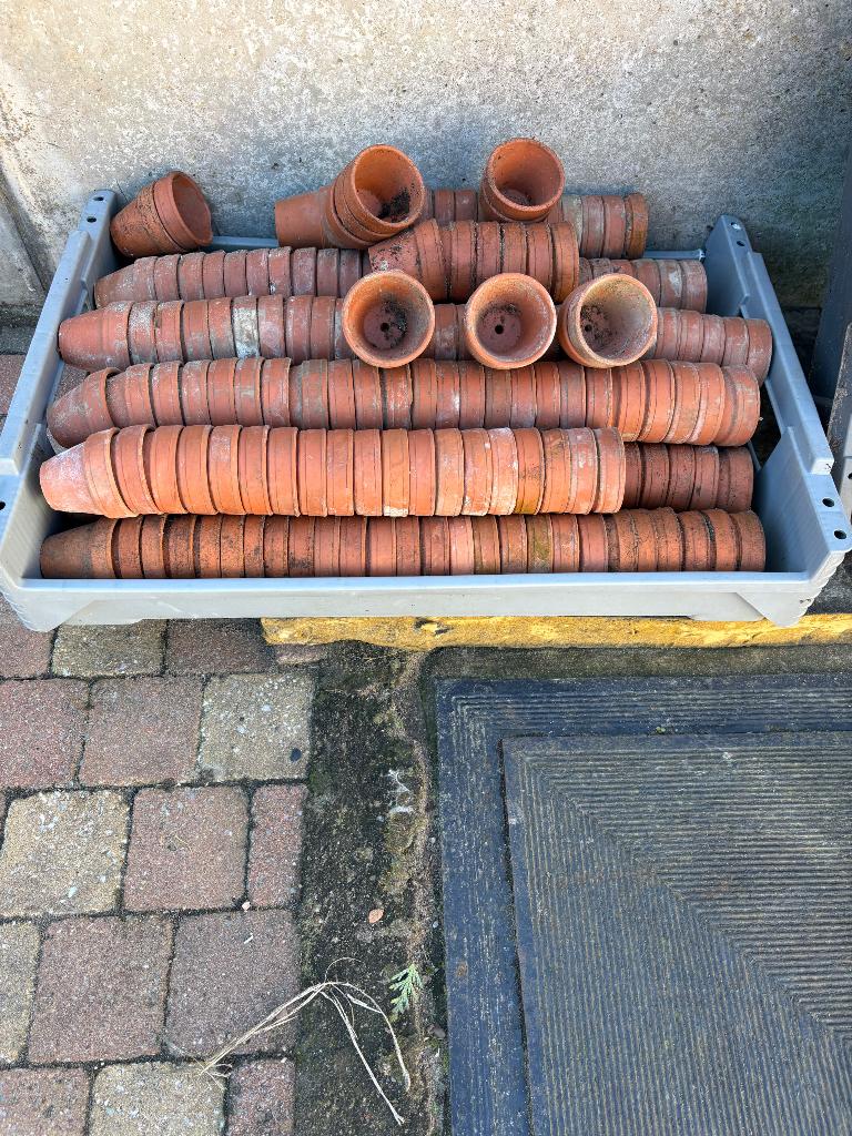 Terracotta bloempotjes diam7cm, Ophalen, Gebruikt, Terracotta, Tuin