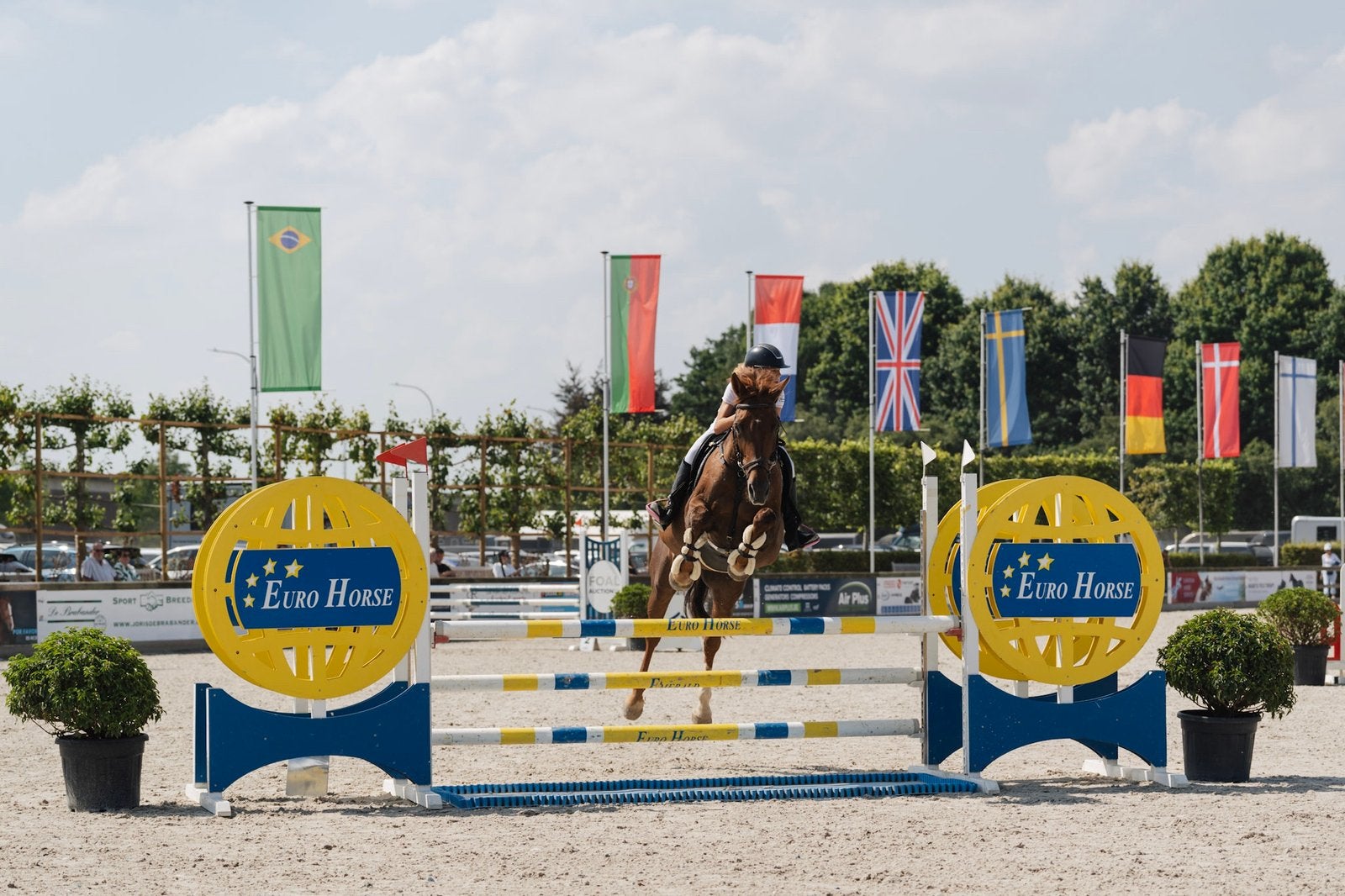 Paarden uitbreng op wedstrijden, Dieren en Toebehoren