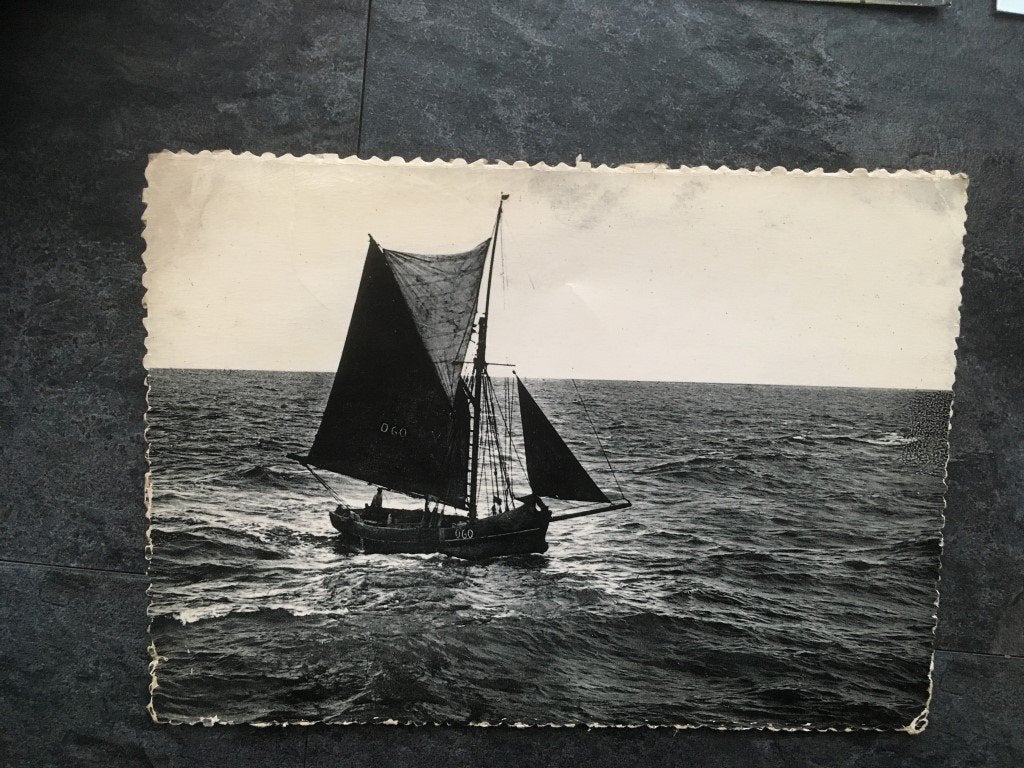 Carte postale De Panne - Bateau à voile, Enlèvement ou Envoi, Véhicule