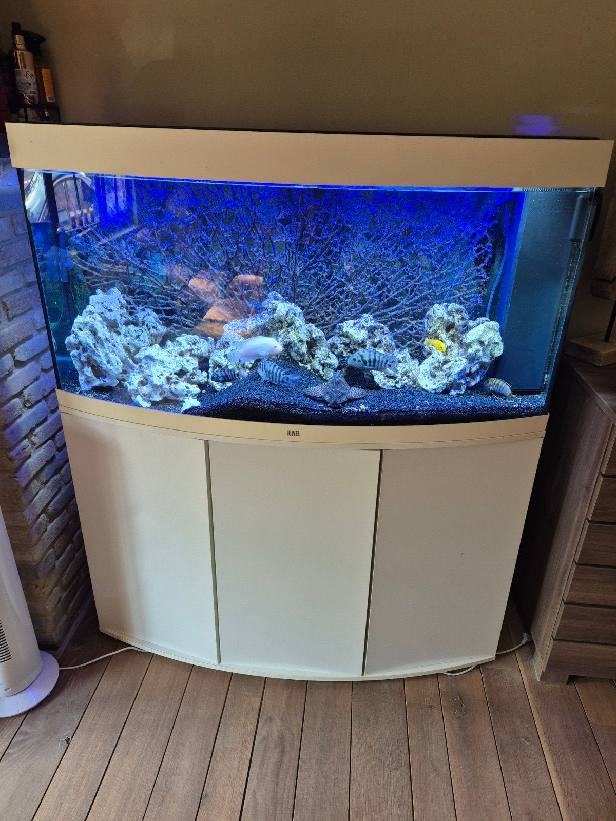 aqaurium juwel vision 260, Dieren en Toebehoren, Ophalen of Verzenden, Juwel