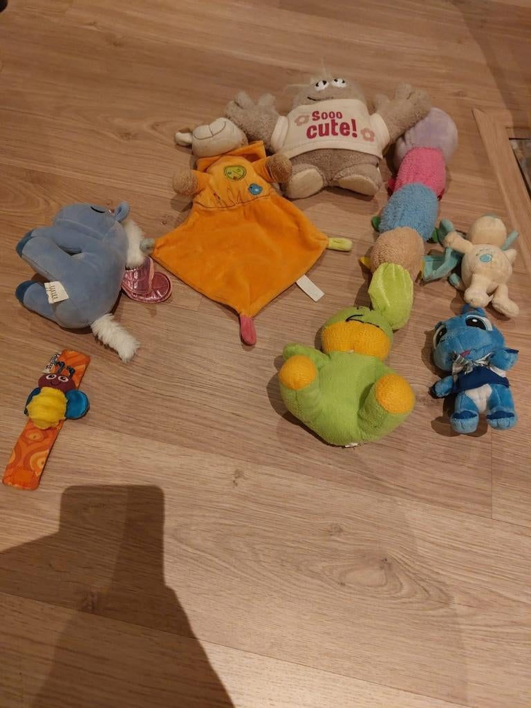 25 knuffels moeten dringend weg, Enlèvement ou Envoi, Utilisé, Autres types