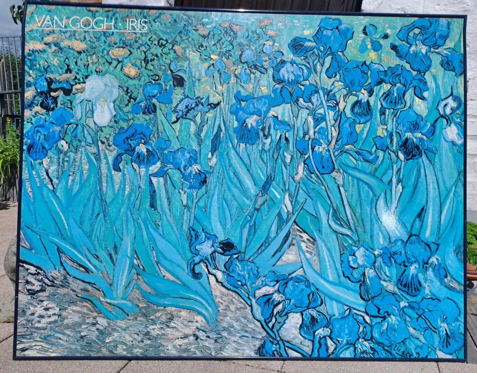 Irissen van Van Gogh, Collections, Posters & Affiches, Enlèvement