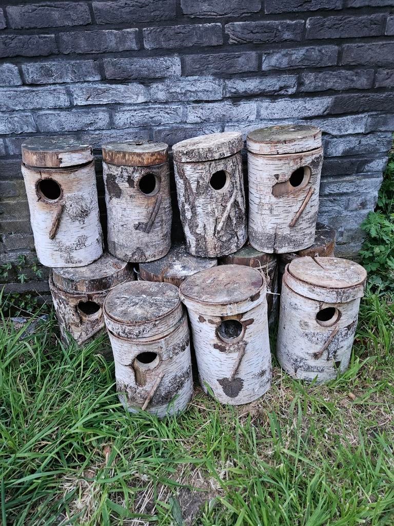Broedblokken valkparkieten of grote soort  parkieten, Dieren en Toebehoren