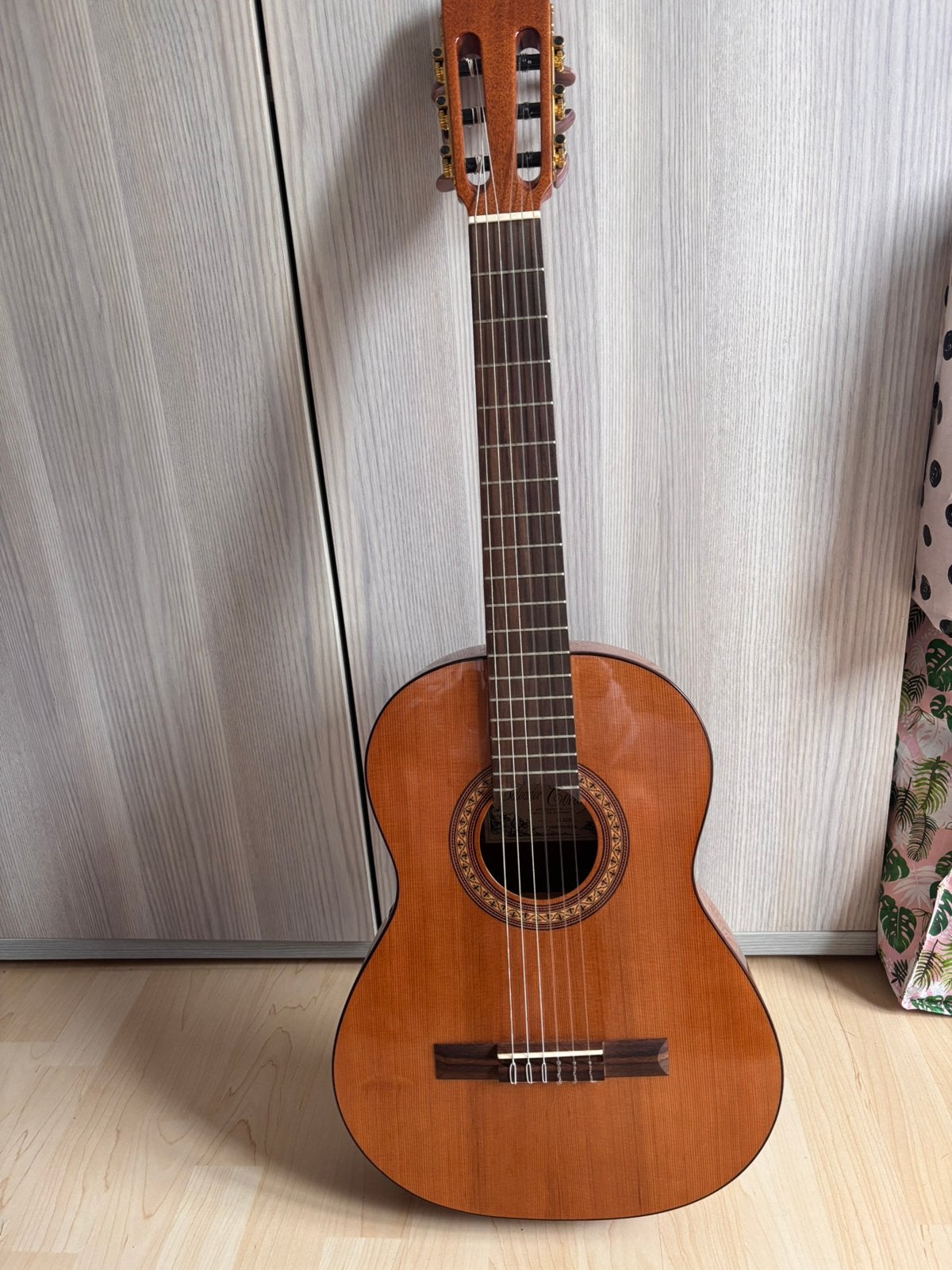 Gitaar Salvador Cortez CC-22JR, Musique & Instruments, Enlèvement, Utilisé, Guitare classique ou espagnole
