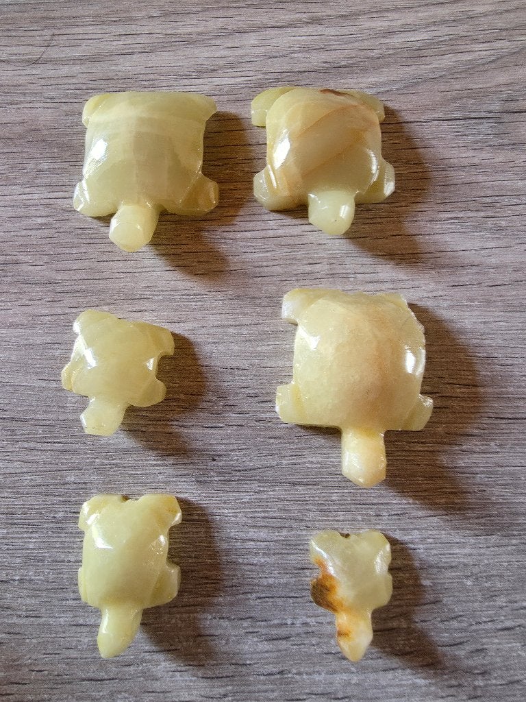 Stenen schildpadjes, Ophalen, Gebruikt, Dier