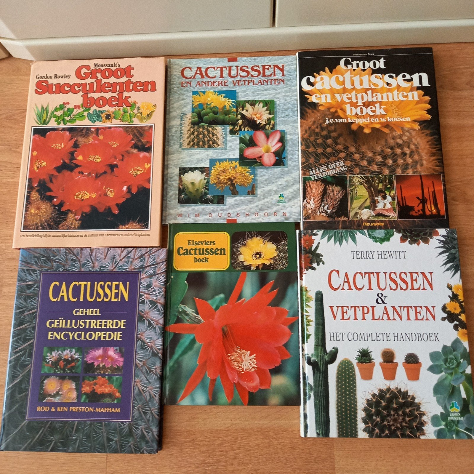 6 CACTUS EN VETPLANTENBOEKEN > ZELDEN AANGEBODEN, Ophalen of Verzenden, Nieuw, Kamerplanten