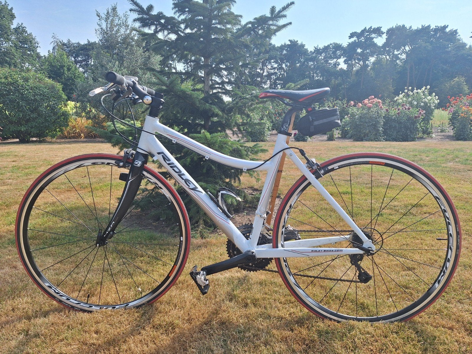 sportieve witte damesfiets van het merk Ridley maat 48, Velgrem, Versnellingen, Zo goed als nieuw, Ophalen