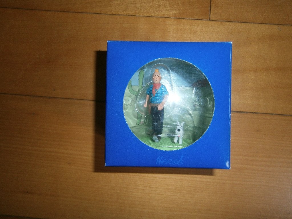 TINTIN, Envoi, Tintin