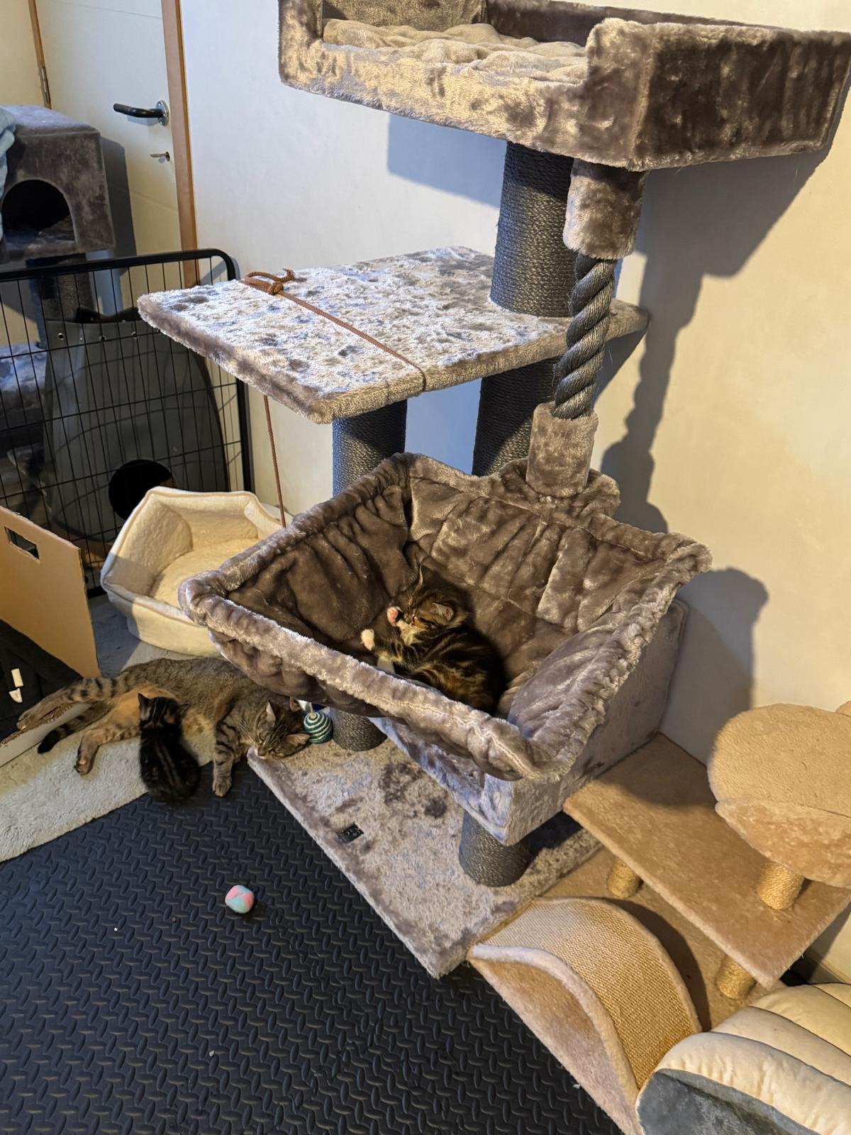 Luxueuze Krabpaal (past mooi bij donker en licht interieur), Dieren en Toebehoren, Ophalen, Krabpaal