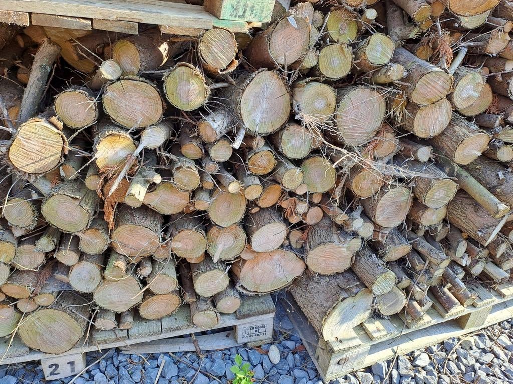 Bois de sapin, Enlèvement