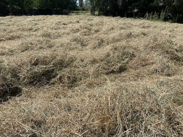 Hooi - paarden, Dieren en Toebehoren, Ophalen
