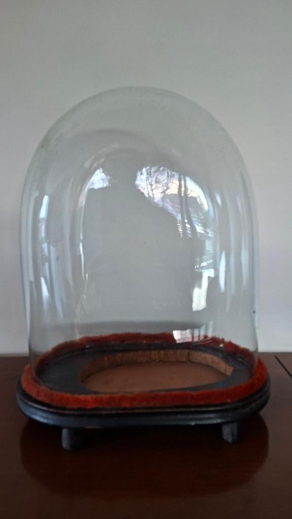 Cloche en verre, Enlèvement