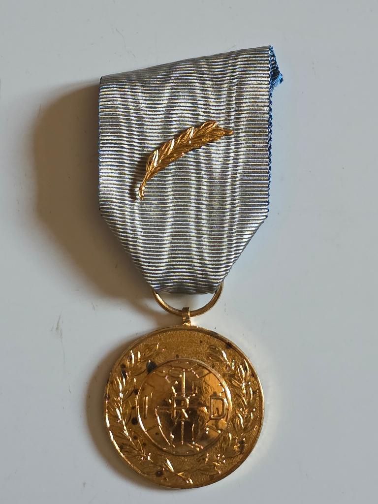Medaille, Verzenden, Overige soorten, Lintje, Medaille of Wings