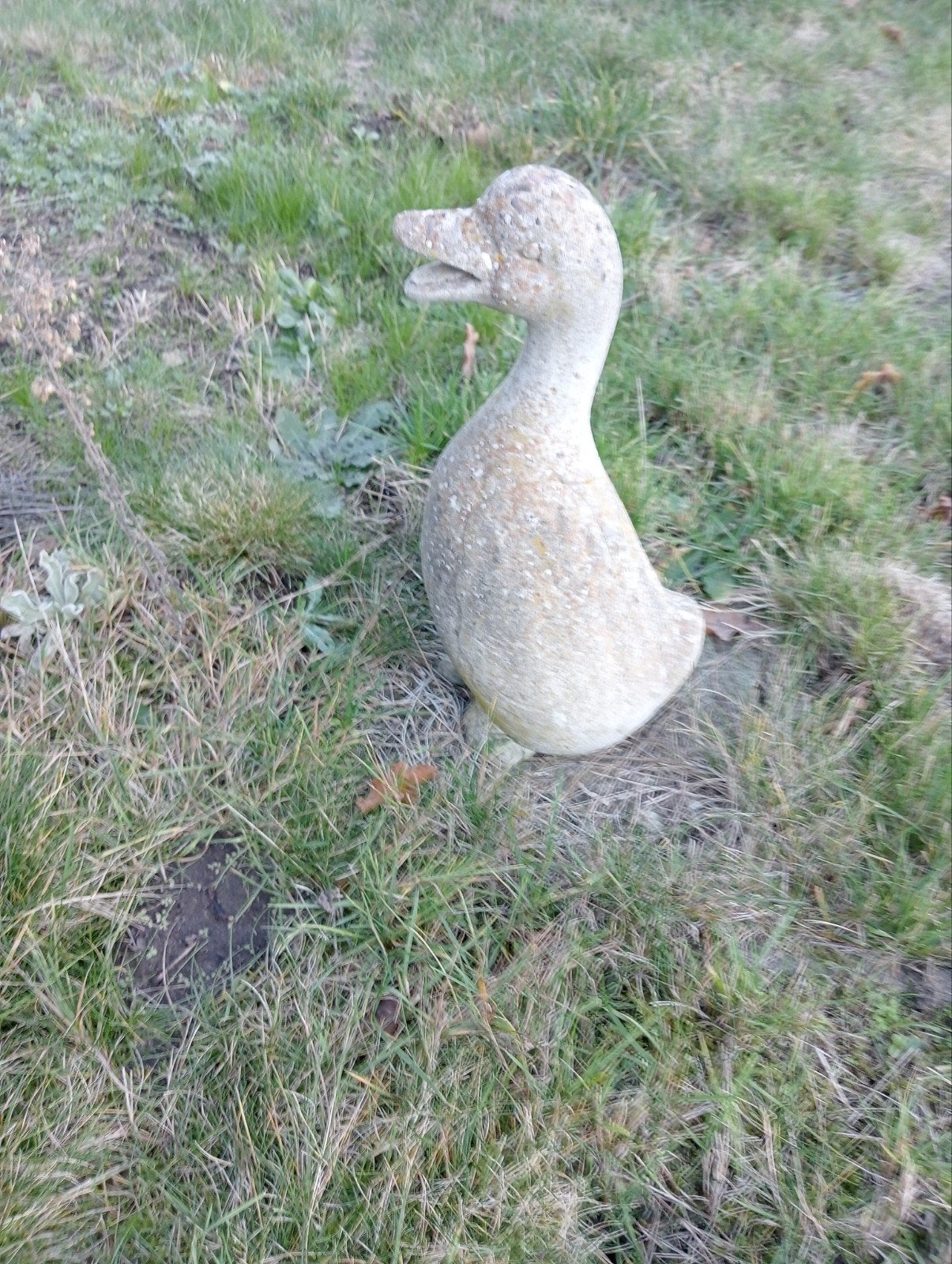 Tuin beeld, Tuin en Terras, Ophalen