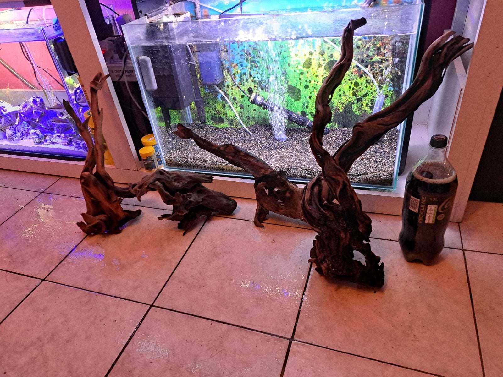 4 souches pour aquarium ou terrarium, Animaux & Accessoires, Enlèvement