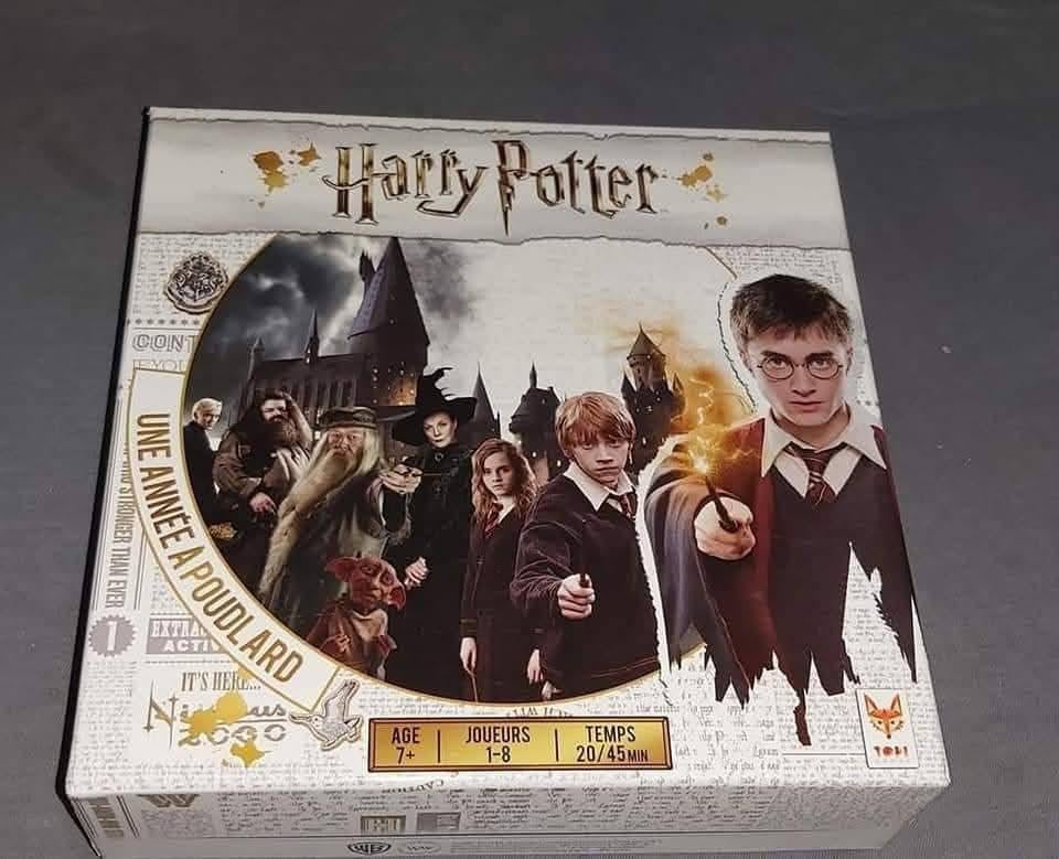Jeux Harry Potter, Enlèvement ou Envoi