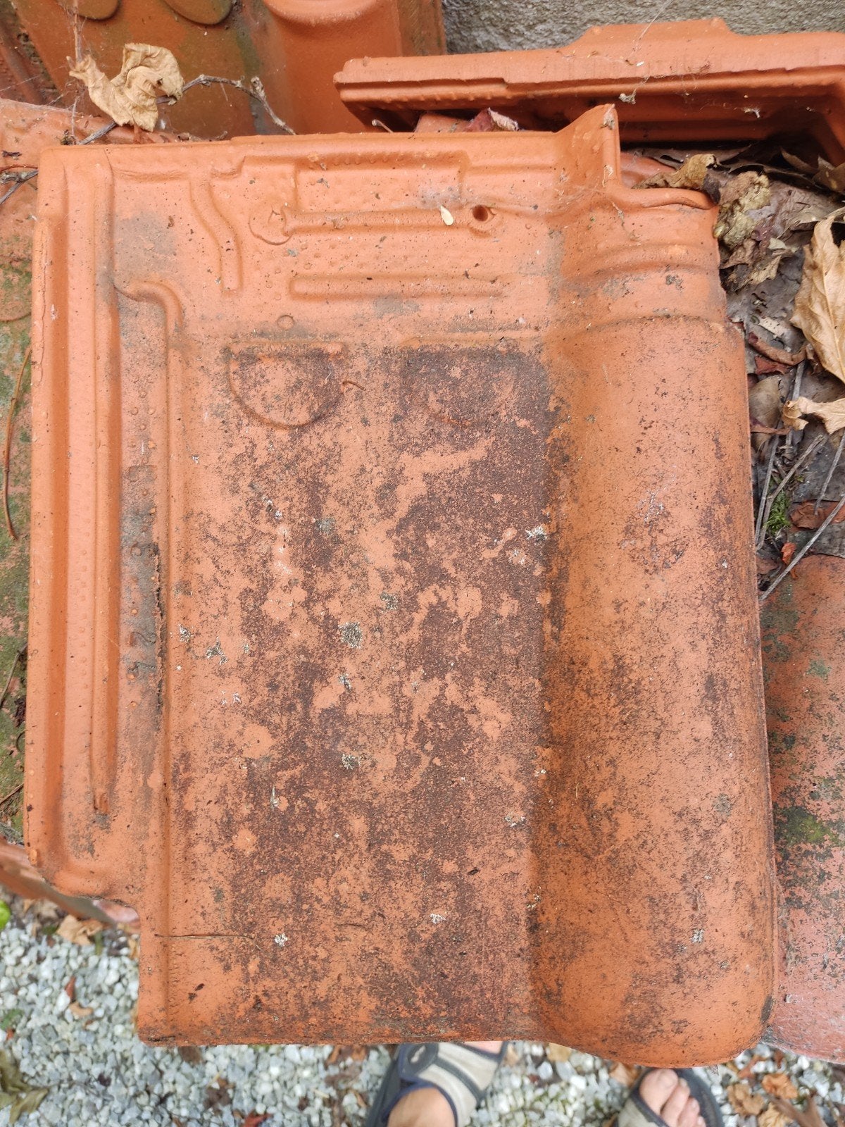 Franse dakpan stormpan, Enlèvement