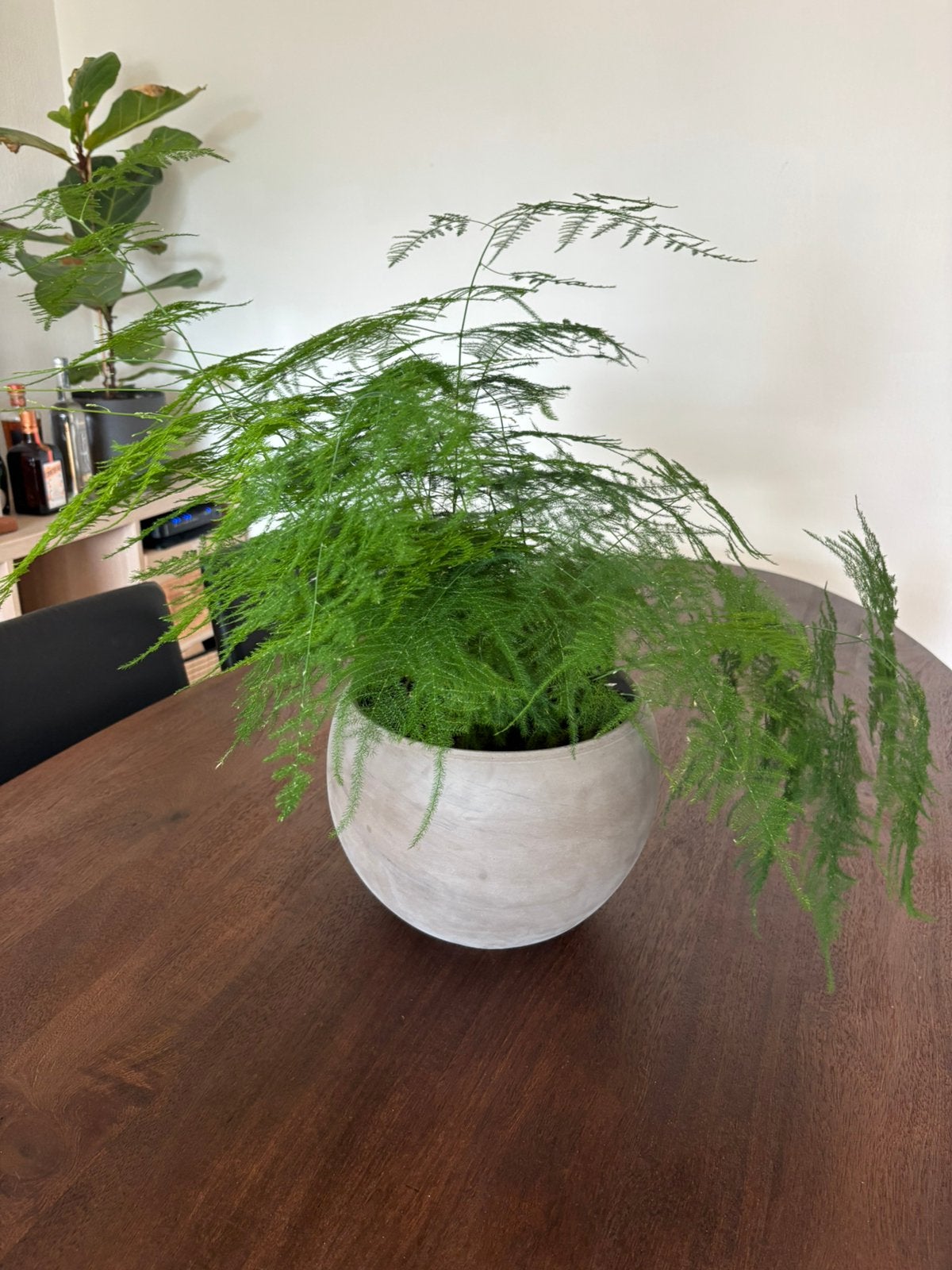 Plant, Ophalen