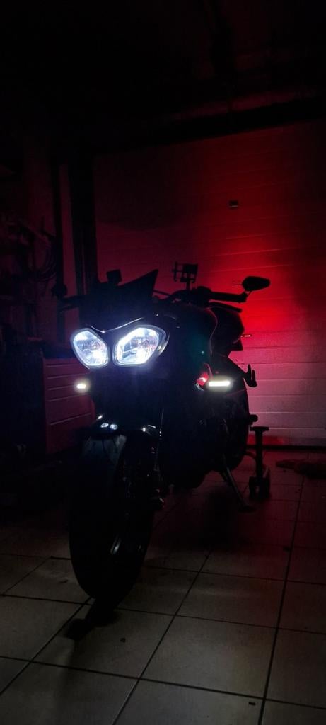 Interessepeiling Street Triple 675 R 2014, Particulier, LED Verlichting