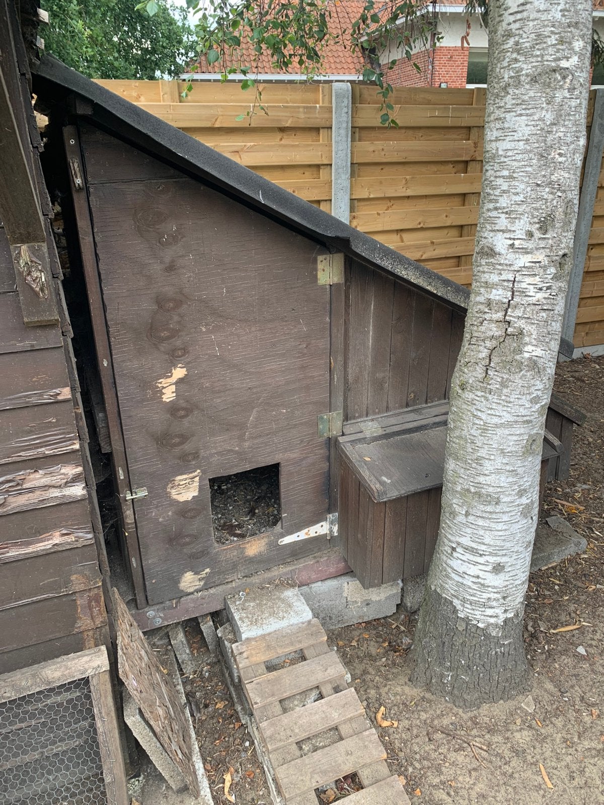 Kippenhok, Dieren en Toebehoren, Ophalen, Gebruikt, Kippenhok of Kippenren