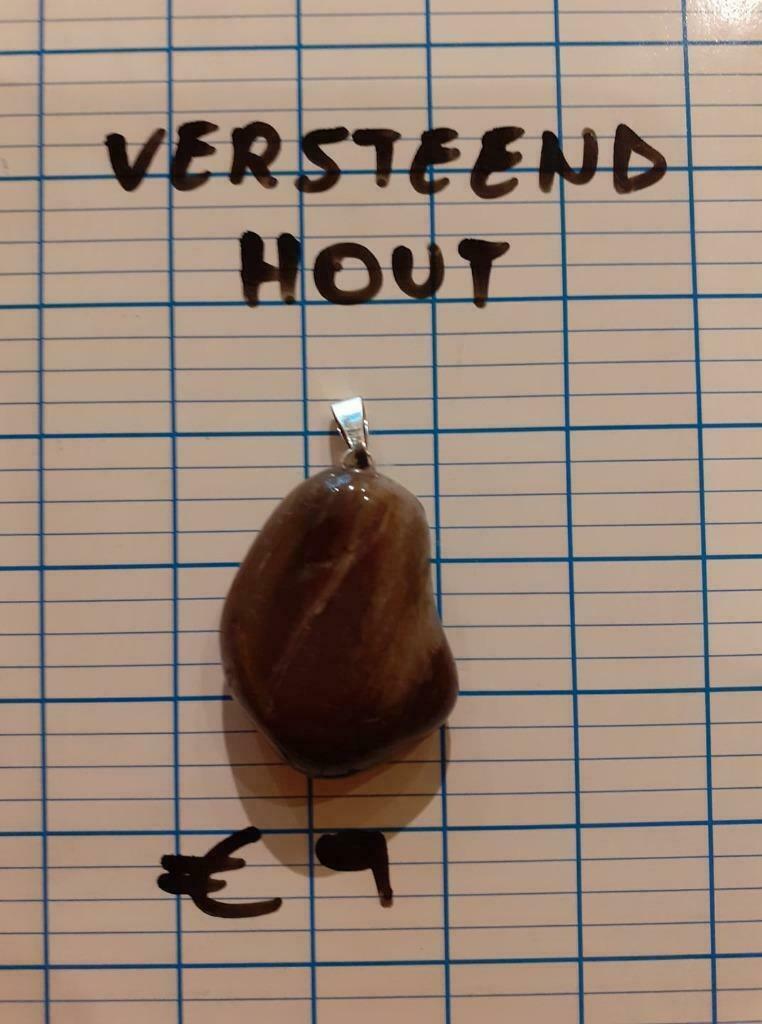 hanger versteend hout, Ophalen of Verzenden, Nieuw
