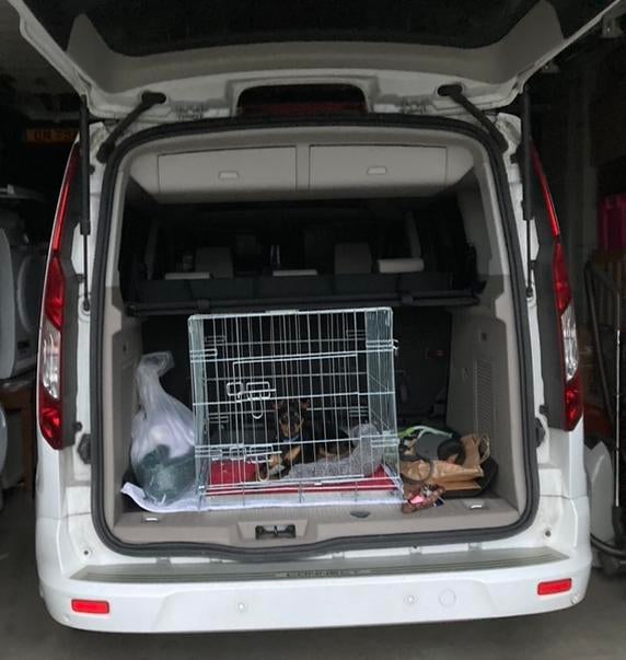 Cage pour chien intérieur ou pour coffre, Utilisé