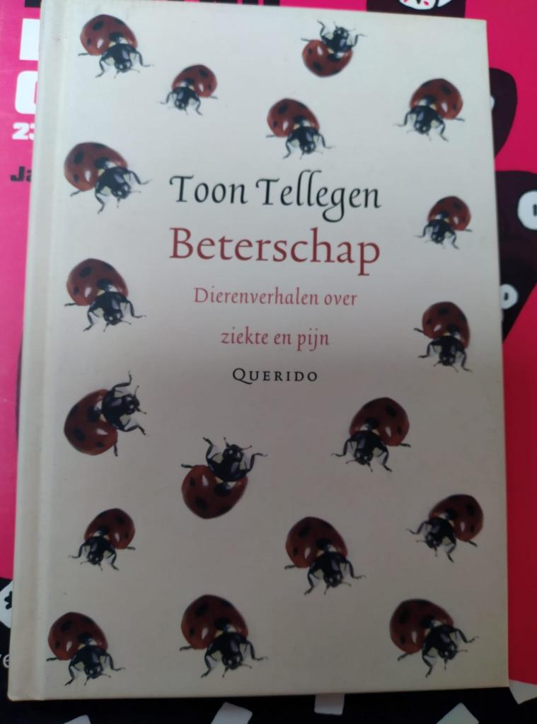 Beterschap, Toon Tellegen, Ophalen of Verzenden