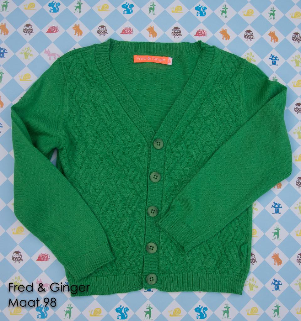 Cardigan Fred & Ginger grasgroen - Maat 98, Kinderen en Baby's, Kinderkleding | Maat 98, Zo goed als nieuw, Meisje, Trui of Vest