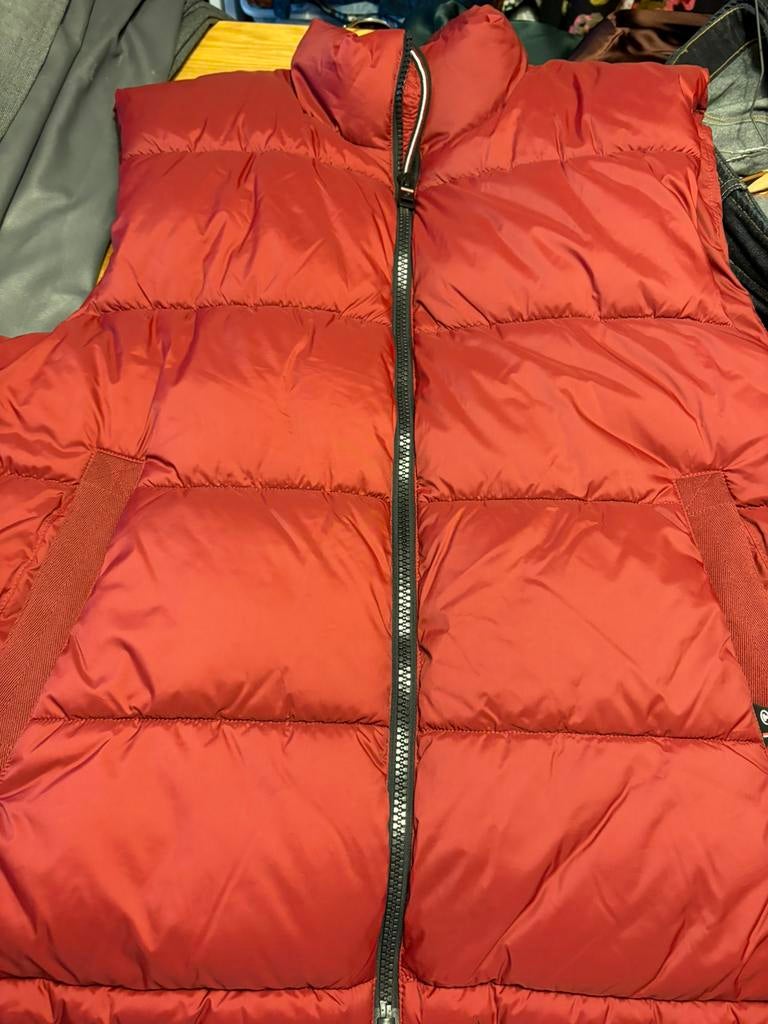 Tom tailor bodilywarmer, Kleding | Heren, Ophalen of Verzenden, Zo goed als nieuw