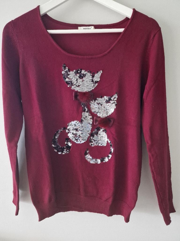 Mooie trui in burgundy, Kleding | Dames, Maat 38/40 (M), Overige kleuren, Ophalen of Verzenden, Zo goed als nieuw