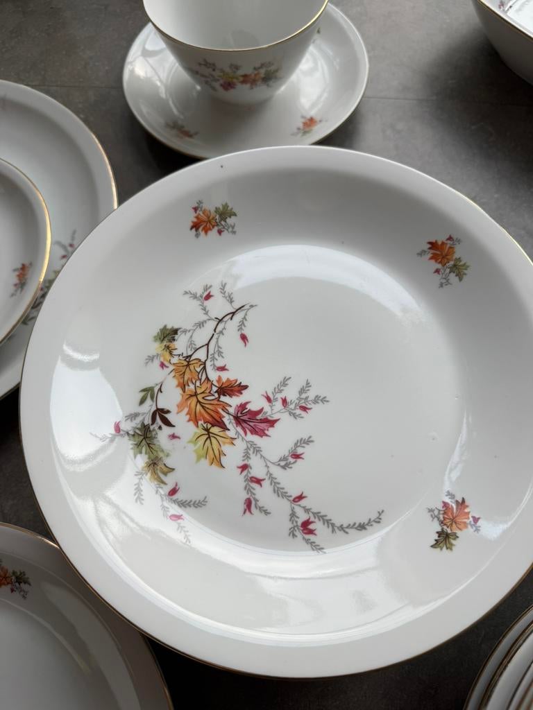 Colditz Porzellan set servies, Antiek en Kunst, Ophalen