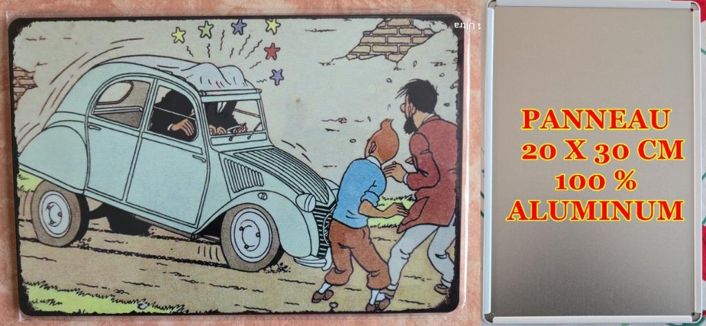 TINTIN - AFFAIRE TOURNESOL, Envoi