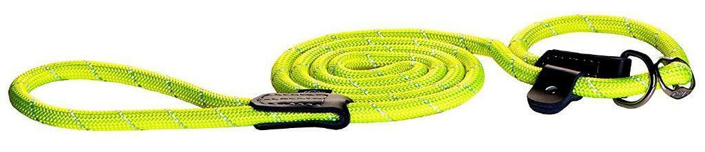 Laisse Collier réglable, jaune pour Chien, taille L, Neuf, Dieren en Toebehoren, Verzenden, Nieuw