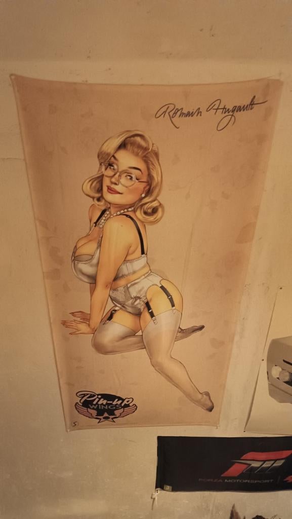 Pin Up Wings, Ophalen of Verzenden, Zo goed als nieuw