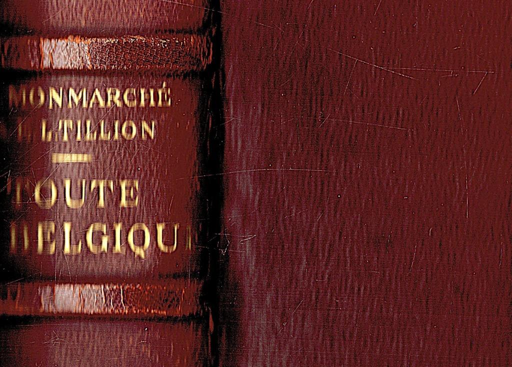 Toute la Belgique. Antiek boek. Franstalig. Luxe uitgave, Enlèvement ou Envoi, MONMARCHE M