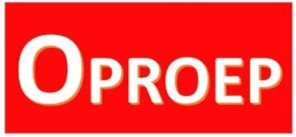 OPROEP – HELP MIJ MIJN SHETLANDPONY’S TERUG TE VINDEN, Dieren en Toebehoren, Merrie