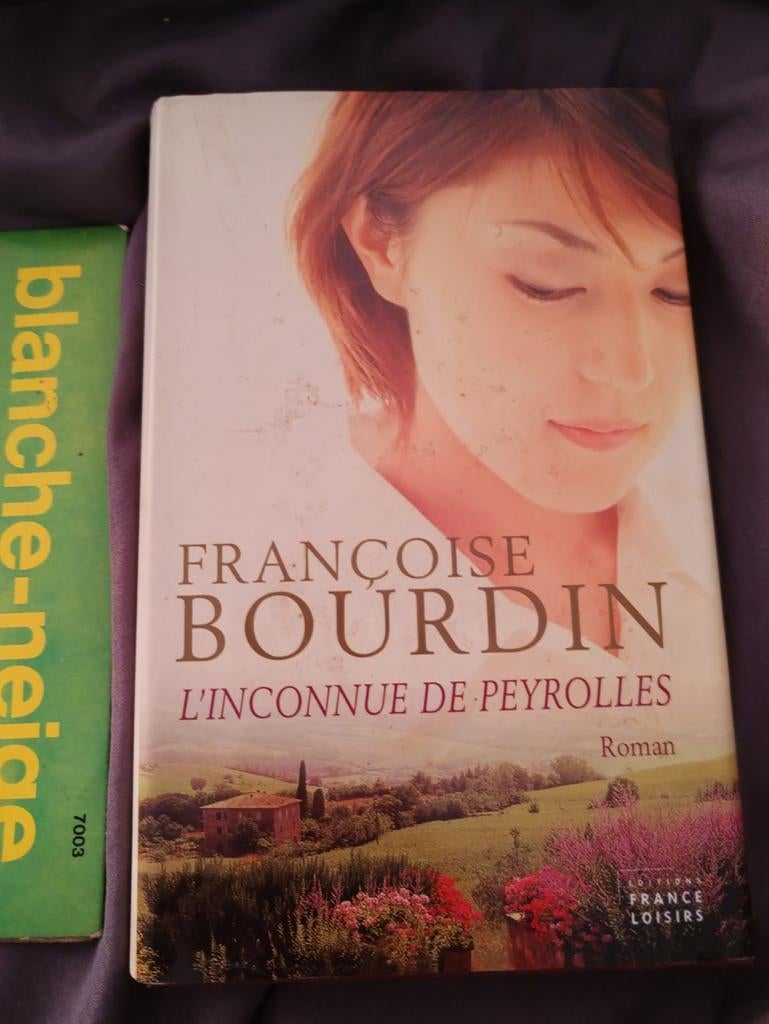 Françoise Bourdin L'inconnue De PEYROLLES, Livres, Enlèvement ou Envoi, Comme neuf