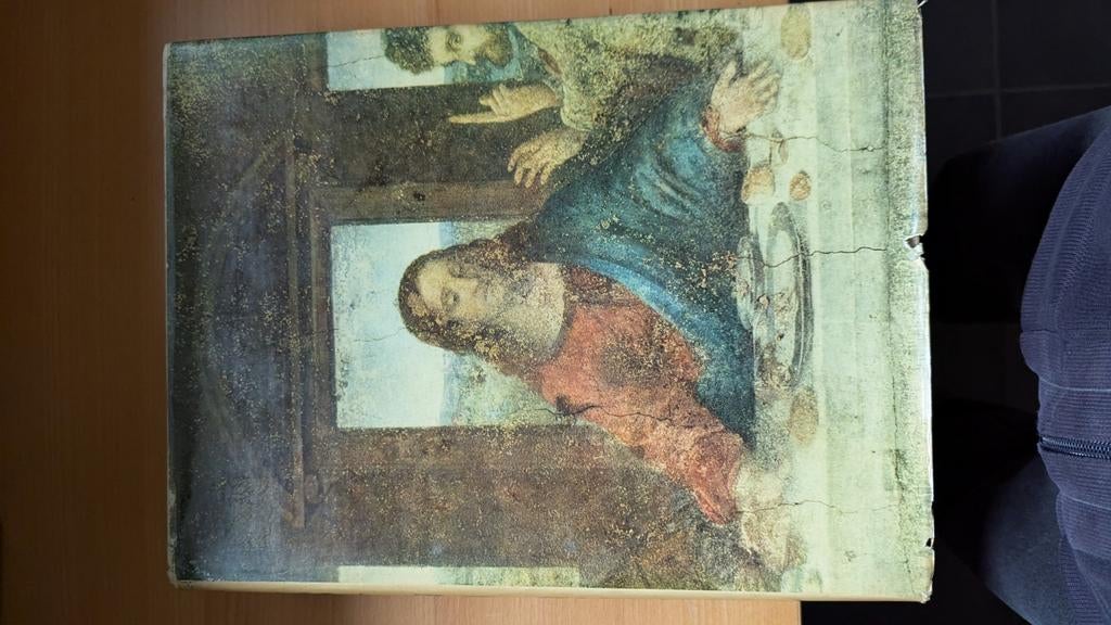 Kunstboeken Leonardo Da Vinci, Ophalen, Gelezen