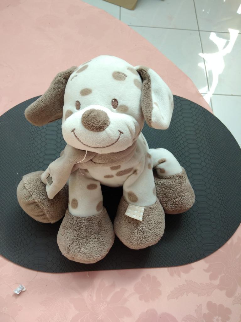 knuffel nattou konijn 2 stuks  (doos 122), Ophalen of Verzenden, Nieuw, Konijn